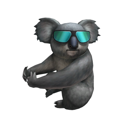 Too Cool Koala
