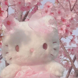 ⊹✩