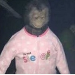Funne Munke