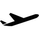 FlyParsion