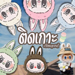 ติดเกาะ จับโจรบูบู้