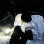 lixlost Group Thumbnail