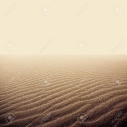 🦴desert land🦴