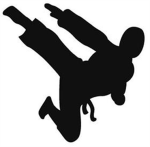 The Ninja of Robuxian!