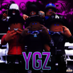 YGZ COMUNITY