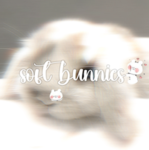 s0ft bunn1es