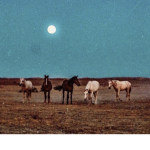 - western spurs -