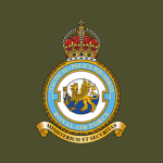 RAF | No. 1 Tactical Policing & Security Squadron