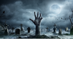 Zombie Survival
