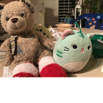 Bearbearanddinosquad