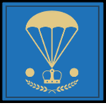 46.e Parachute Infantry Regiment