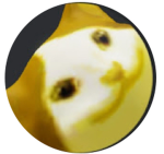 주니 Joony 로블록스 팬클럽!
