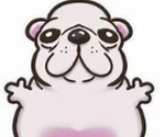 _pibble