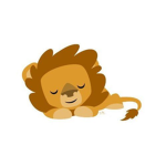 Lucky Lions Dance Academy