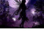 Purple fairy’s