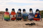 Quantum Penguins