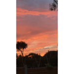 Lilly and Kaylee
