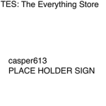 TES:The Everything Store