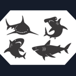The Demonic Shark Cult