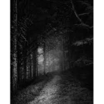 HAUNTED / P.D.R