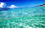 #Saving the Sea