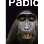 Pabloooooooooooooooooooooooo