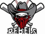 !!!THE roblox rebels!!!
