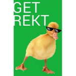 MEMES Reborn