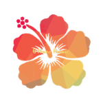 O'Hauna Airlines