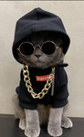 ~felinos de ceniza~