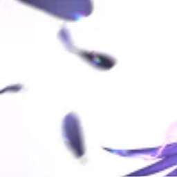 𝐟