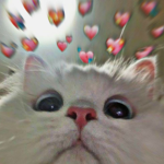 ImDoraPlayz