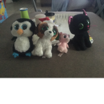 Pets club