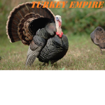 The Turkey Empire