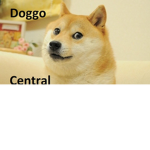 For all the Doggo's out there!