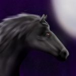 Midnight Stars Riding Academy