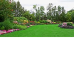 Gardenclan