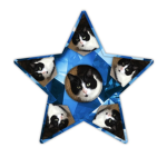 Cat Corp5