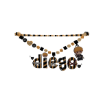 ୨୧ ꒰ diego ♡ 1.0 ꒱