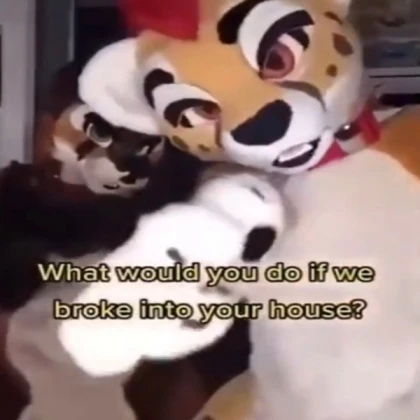 furry meme