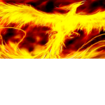 Me Phoenix_lilly5055