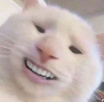 S0FT.