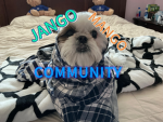 Jango Mango Community