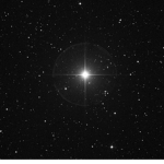 Star シ