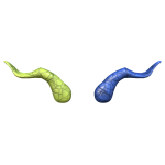 Frozen Horns of Nevermoor (STARFALL)