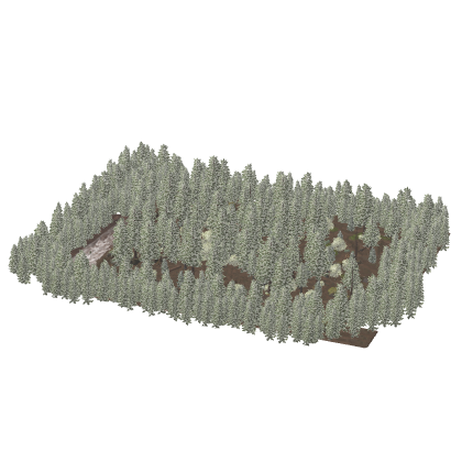 Realistic Forest Map Relax Hangout Cafe Social