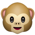 Monkez