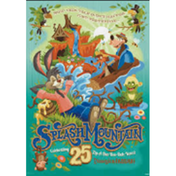 Splash Mountain Magic Kingdom [READ DESC]