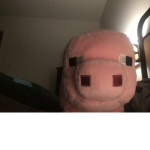 Piggie Fan group