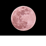 Moonlight Army <3